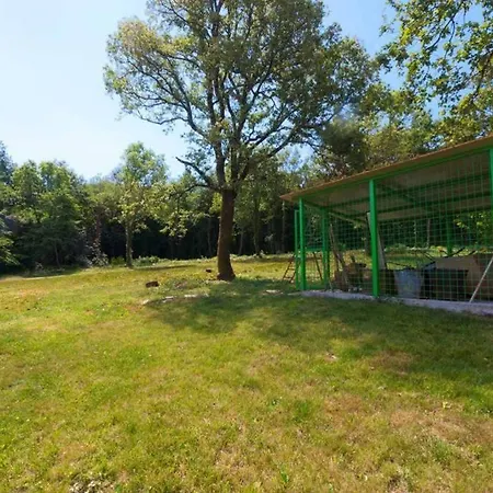 Villa Royal Cezarina Villa Kršan